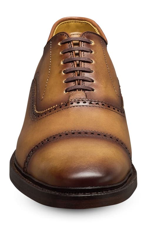 Allen Edmonds Murray Cap Toe Oxford In Walnut