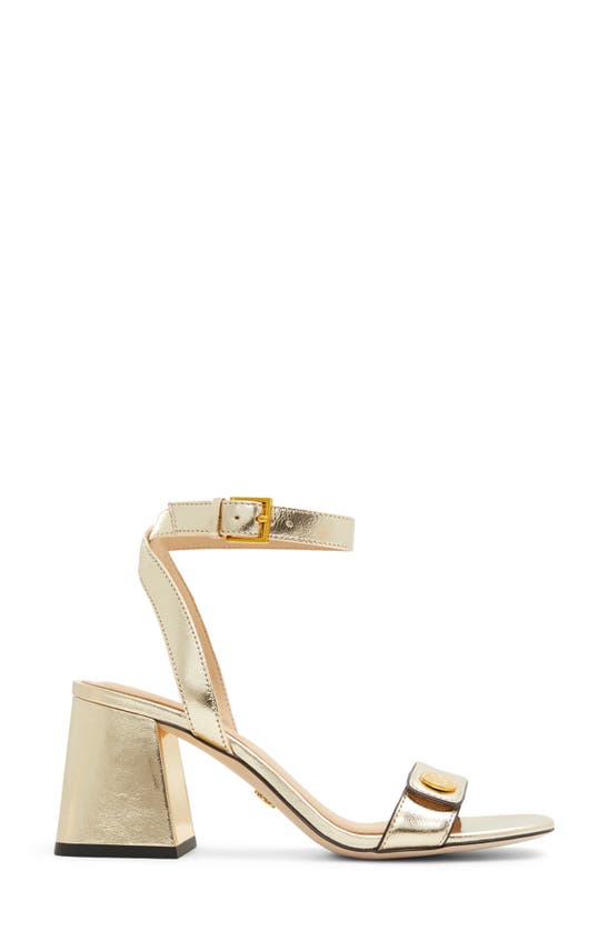 Shop Ted Baker Milly Icon Ankle Strap Sandal In Gold