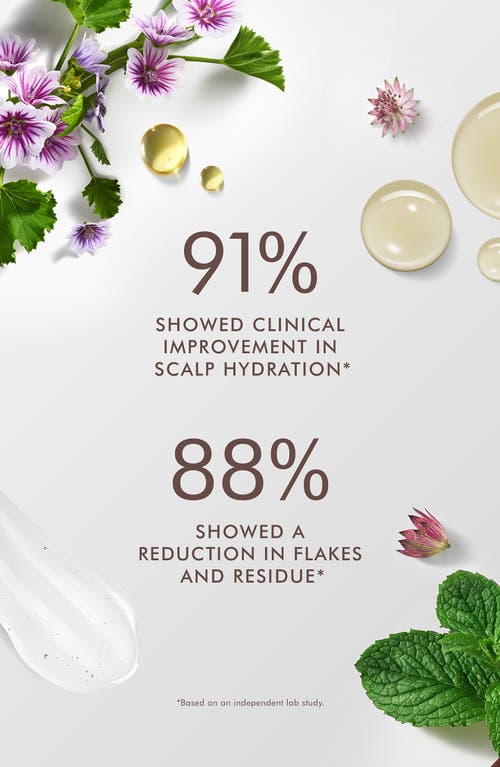 Shop Moroccanoil ® Scalp Balancing Conditioner In No Color