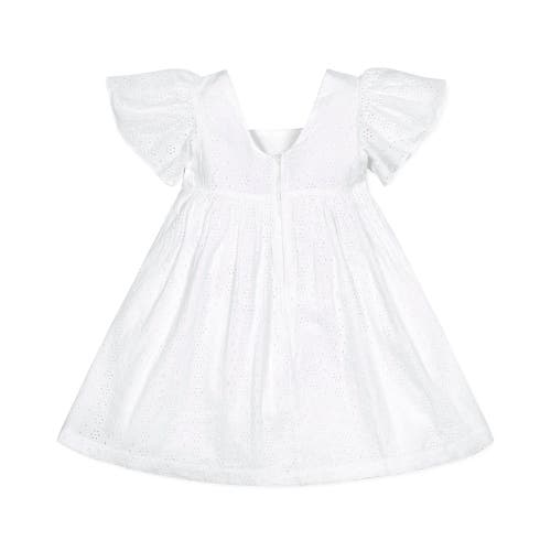 Shop Hope & Henry Girls' Organic Flutter Sleeve Eyelet Dress, Toddler In White Eyelet