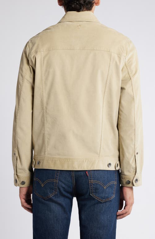 Shop Tommy Bahama Canyon Corduroy Trucker Jacket In Stone Khaki