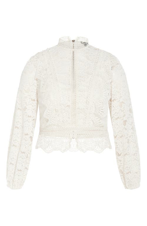 City Chic Lucielle Lace Top In Porcelain