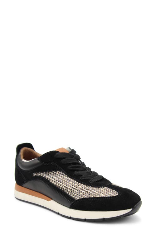 GENTLE SOULS BY KENNETH COLE Juno Sneaker Black Leather at Nordstrom,