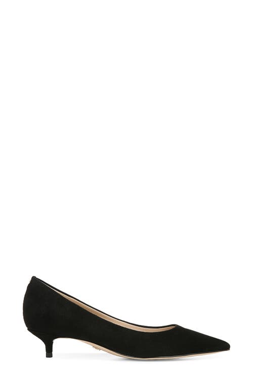 Shop Sam Edelman Franci Kitten Heel Pump In Black Suede