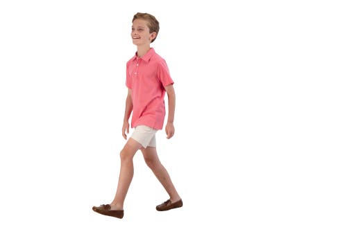 Busy Bees Short Sleeve Polo In Red Mini Navy Stripe