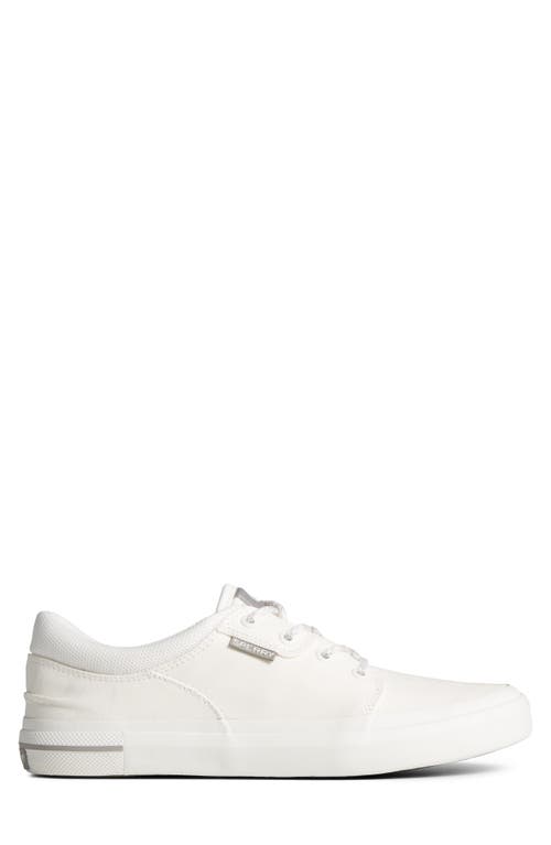 Sperry Crossjack Sneaker In White