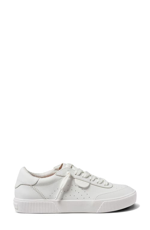 Reef Lay Day Seas Sneaker In White Leather