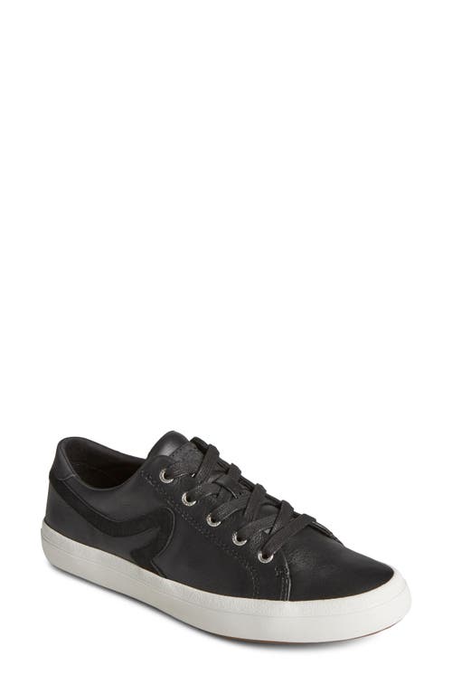 Sperry Sandy Wave Sneaker In Black