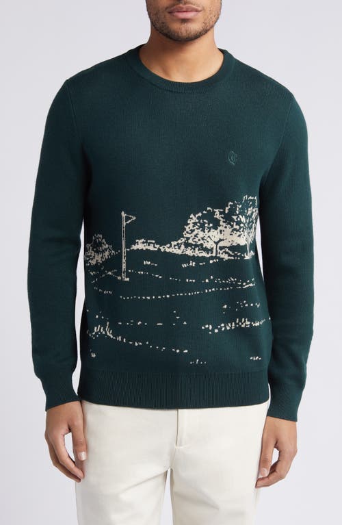 Greens Crewneck Sweater in Forest