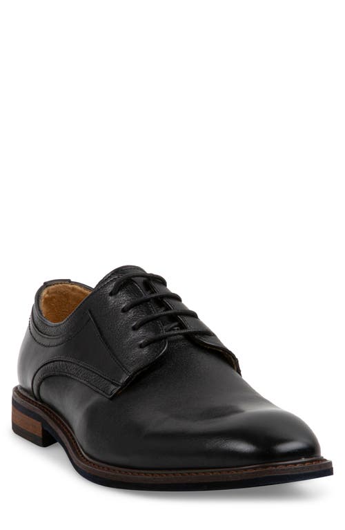 Steve Madden Nando Derby in Black at Nordstrom, Size 13