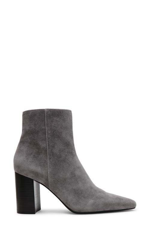 Shop Steve Madden Aidan Bootie In Grey Suede