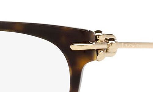 Tiffany & Co . 53mm Cat Eye Optical Glasses In Havana/demo Lens
