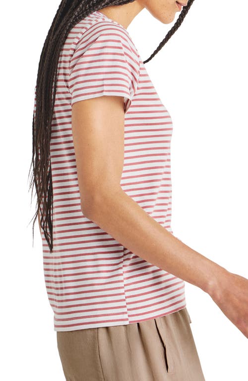 Shop Splendid Lulu Stripe T-shirt In Dawn/white