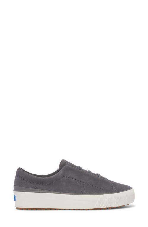 Shop Keds ® Remi Platform Sneaker In Dark Grey Suede