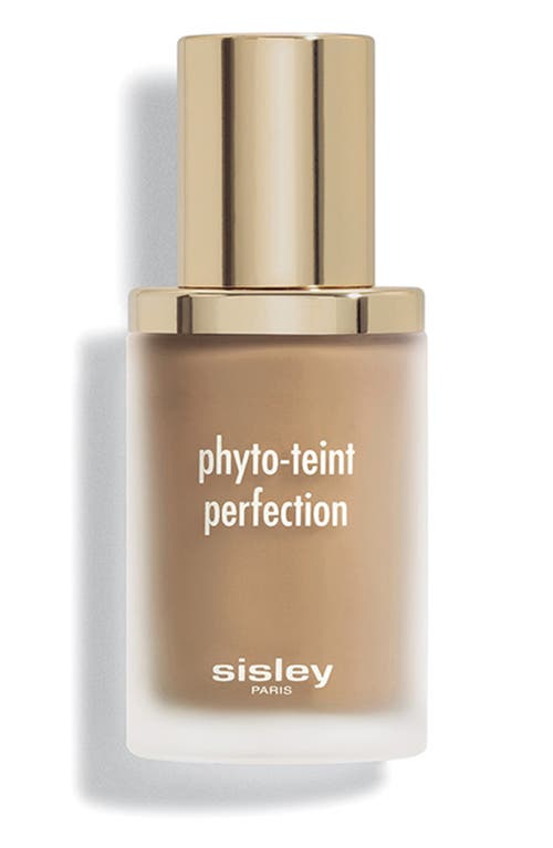 Sisley Paris Phyto-Teint Perfection Foundation in 5W Toffee at Nordstrom, Size 1 Oz