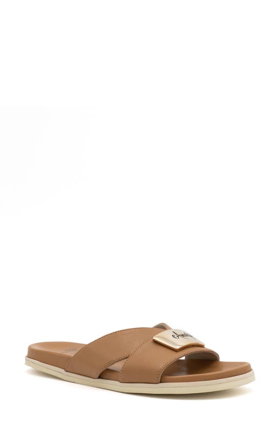 Shop Amalfi By Rangoni Bardolino Slide Sandal In Carmello Gold Hardware