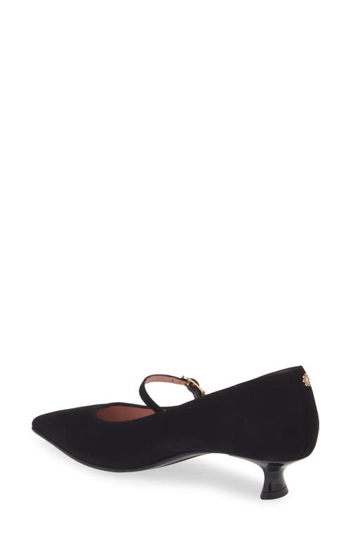 Shop Naot Rosalie Pointed Toe Pump In Black Classic Suede