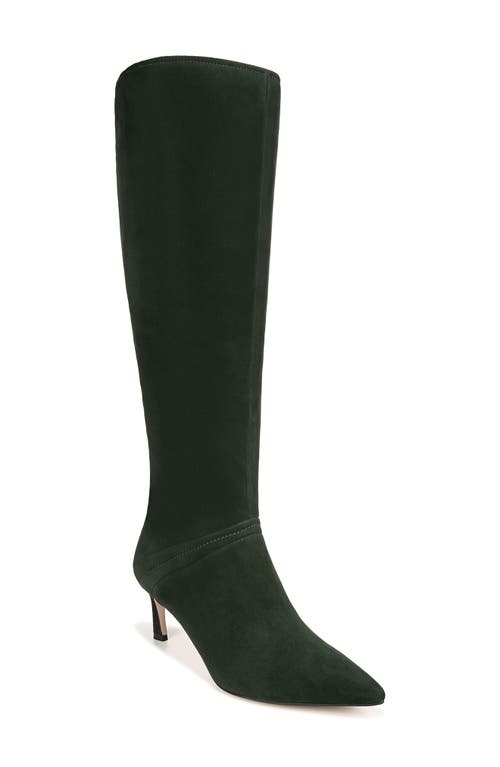 Falencia Knee High Pointed Toe Boot in Pine Needle Green Suede