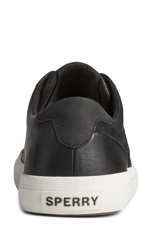 Sperry Sandy Wave Sneaker In Black