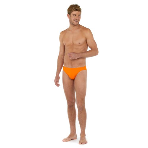Hom Sea Life Micro Brief In Orange
