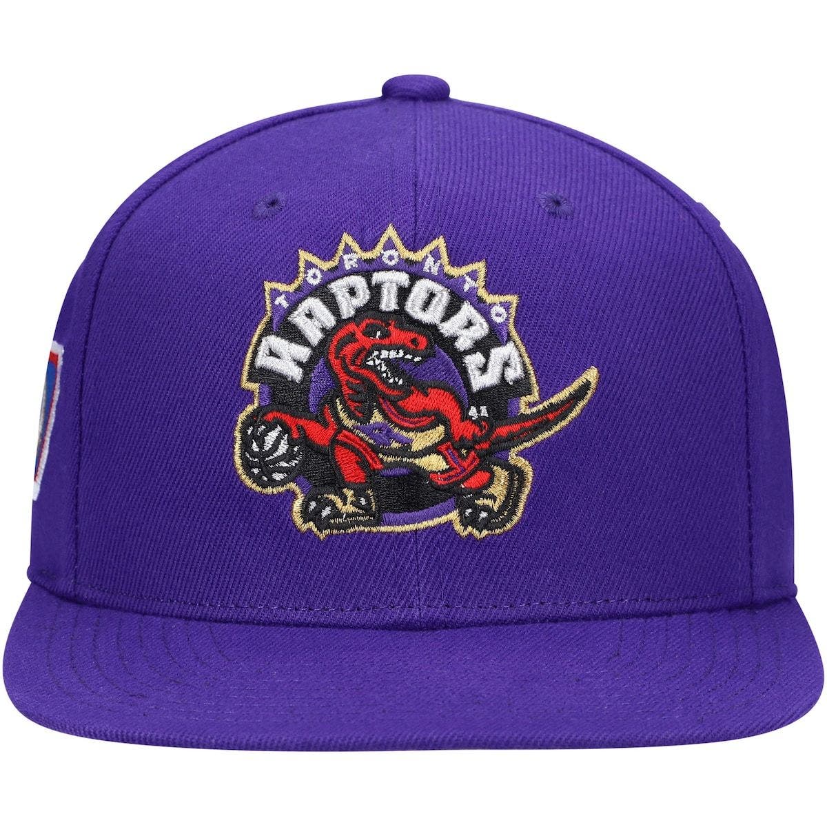 purple raptors hat