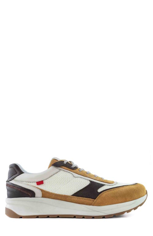 Marc Joseph New York Alex Cir Sneaker In Cafe And Birch