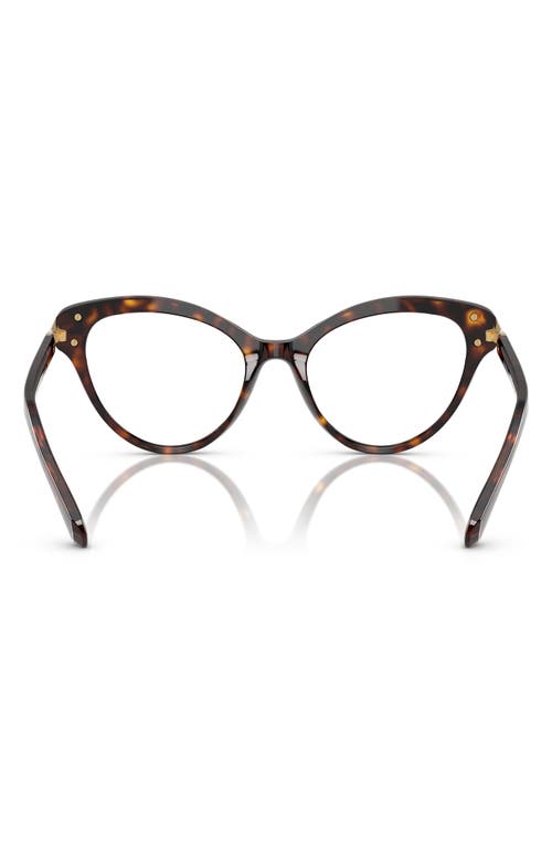 Swarovski 53mm Cat Eye Optical Glasses In Havana