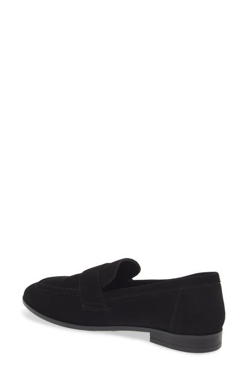 Cordani Ardelle Moc Toe Loafer In Black Suede