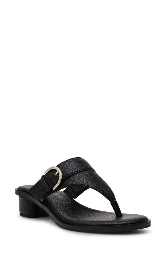 Shop Anne Klein Tamsen Buckle Sandal In Black