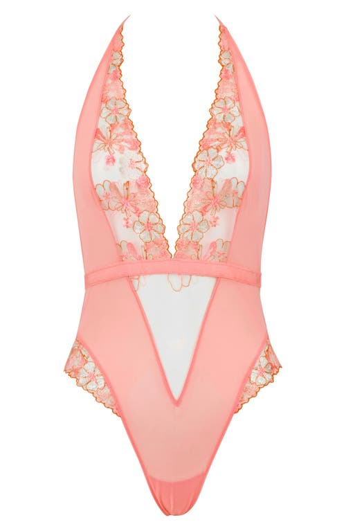Love, Vera Plunge Floral Embroidered Bodysuit In Coral