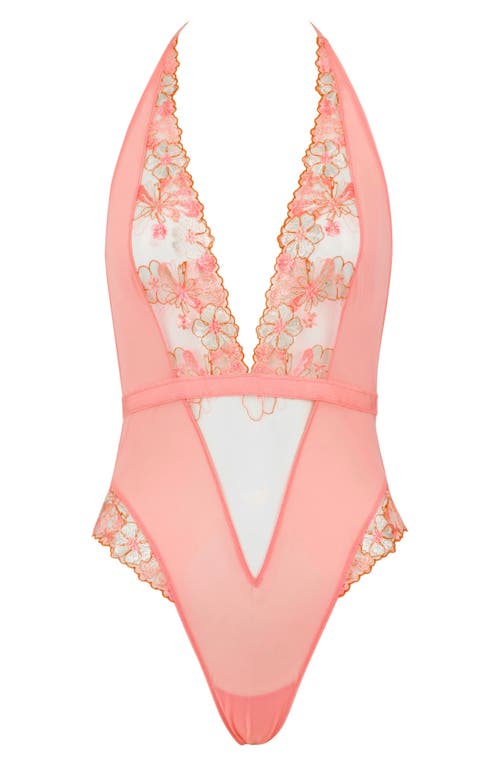 Love, Vera Plunge Floral Embroidered Bodysuit In Pink