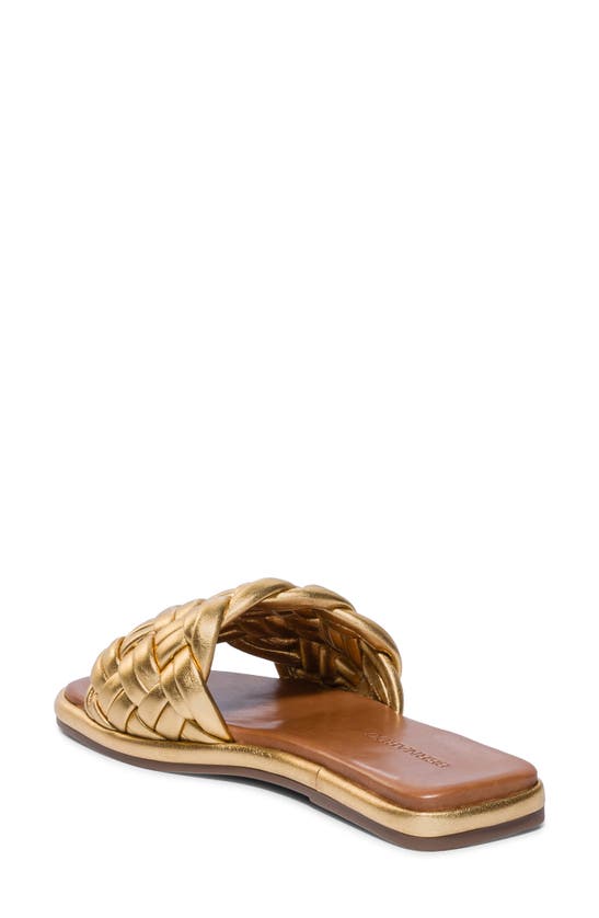 Shop Bernardo Footwear Troy Slide Sandal In Gold