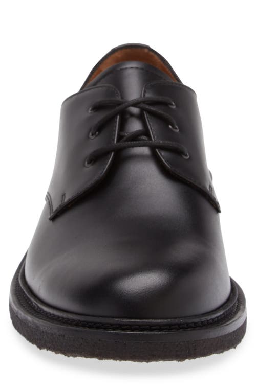 Shop Common Projects Officer's Plain Toe Derby In Black