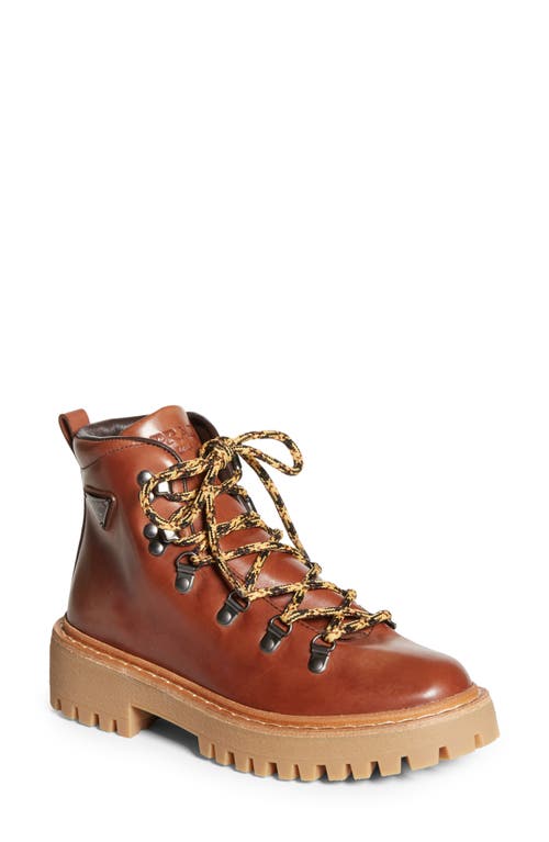 Prada St. Moritz Hiking Boot In Brown