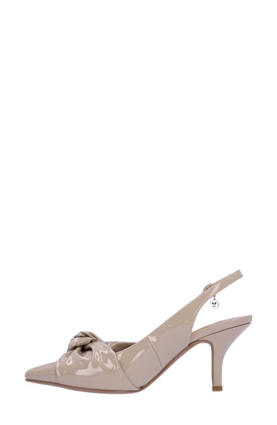 Shop J. Reneé Lenore Pointed Toe Pump In Taupe