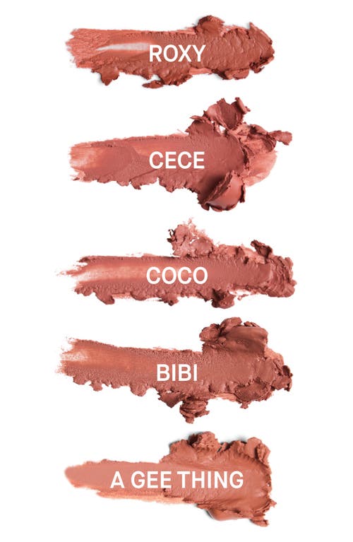 Gee Beauty Signature Gold Lip Kit $170 Value In Lovely
