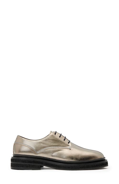 Shop Allsaints Escher Plain Toe Derby In Gunmetal Grey