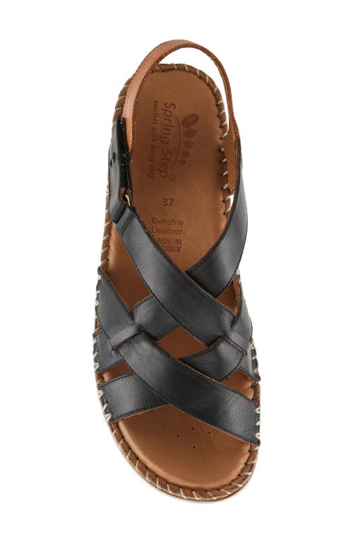 Shop Spring Step Migula Slingback Wedge Sandal In Black