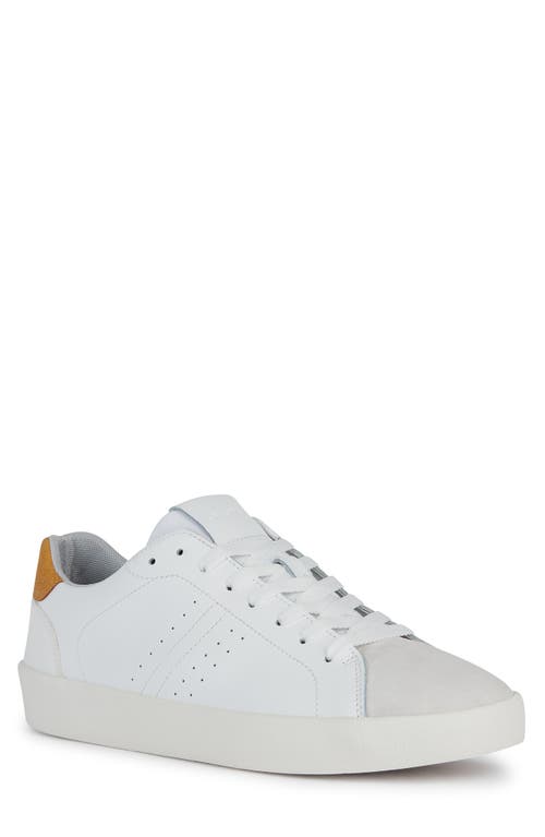 Geox Affile Sneaker at Nordstrom,