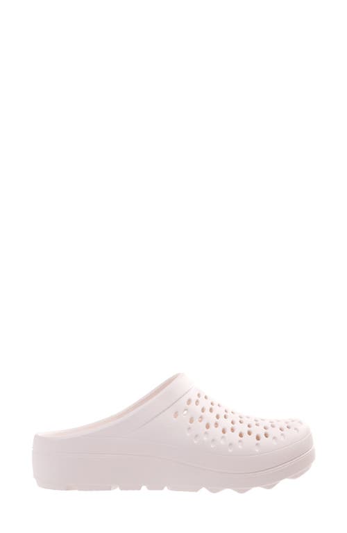 Shop Revitalign Fusion Vitality Clog In Warm White