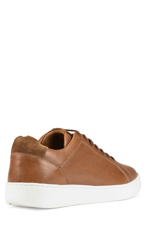 Donald Pliner Perforated Sneaker In Saddle