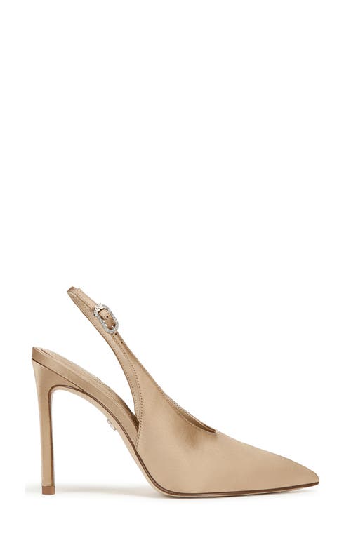 Shop Sam Edelman Alina Slingback Pointed Toe Pump In Ecru