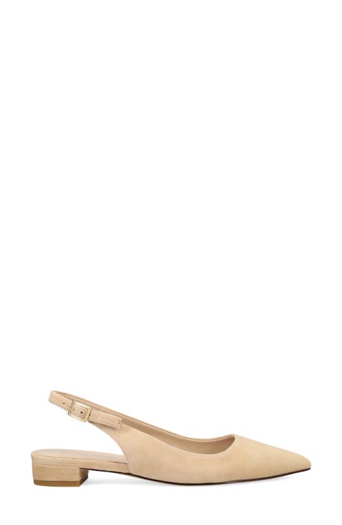 Pelle Moda Aali Pointed Toe Slingback Flat In Latte