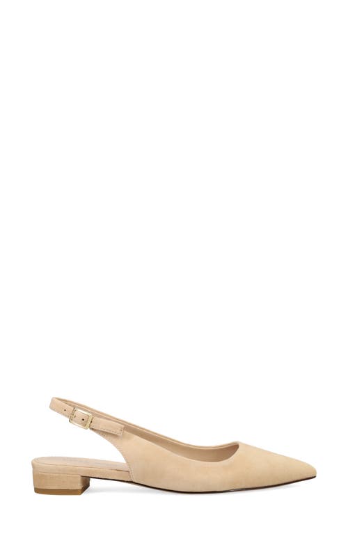 Shop Pelle Moda Aali Pointed Toe Slingback Flat In Latte