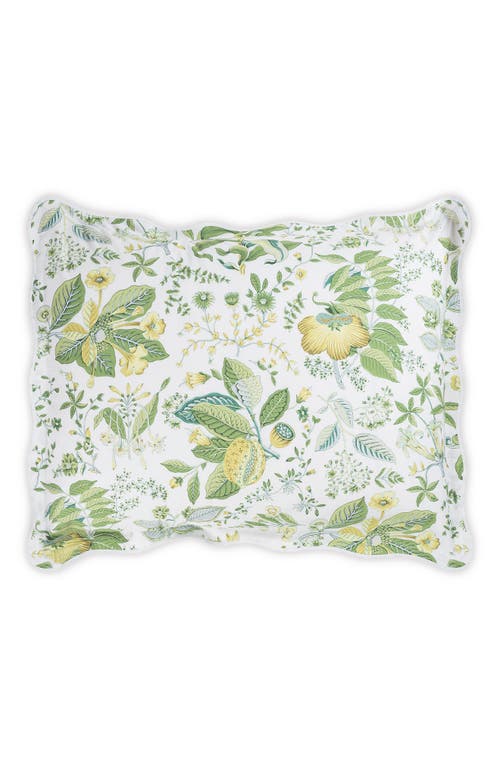 Matouk Pomegranate Pillow Sham in Citrus at Nordstrom