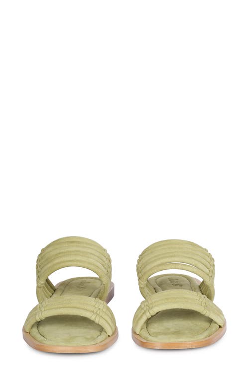 Saint G Zoya Safari Sandal In Safari