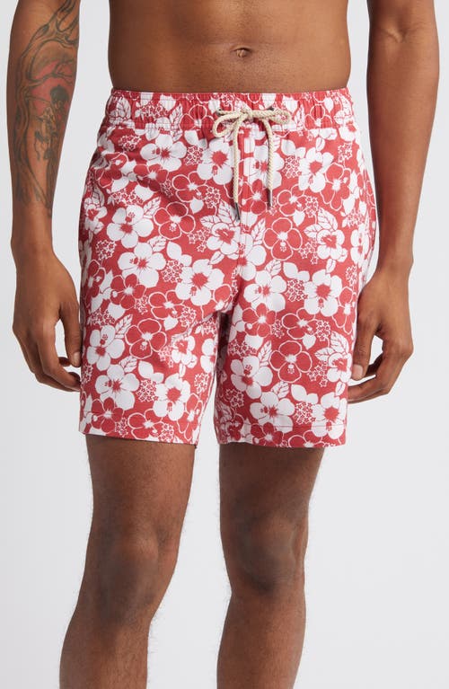 Bayberry Floral Swim Trunks in Stamped Hibiscus