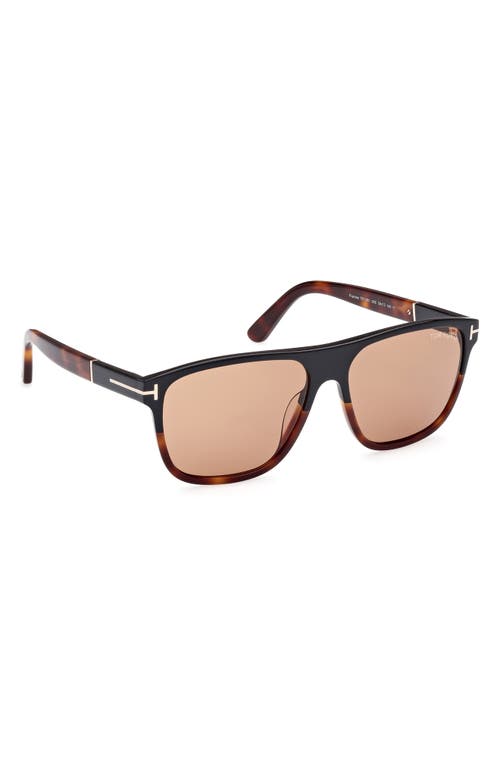 Shop Tom Ford Frances 58mm Square Sunglasses In Black Blonde/brown