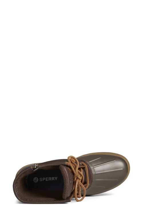 Shop Sperry Top-sider® Saltwater 2.0 Duck Boot In Dark Brown