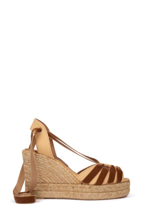 Penelope Chilvers Catalina Dali Espadrille Wedge In Honey/gold